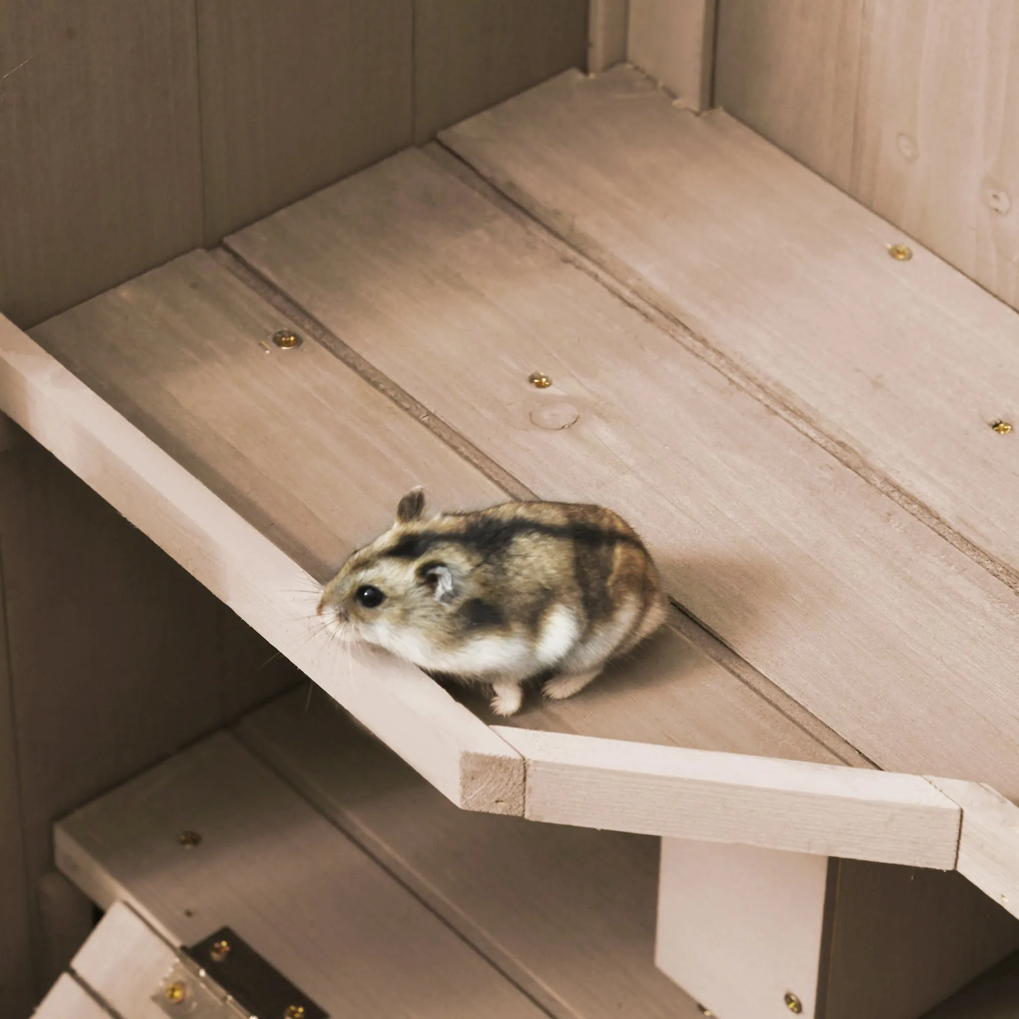 3 Level Hamster Cage