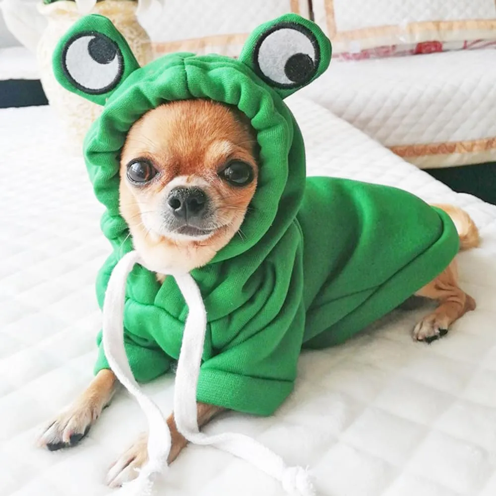 ANIAC Pet Hoodie Cat Rabbit Outfit with Bunny Ears Cute Sweatshirt Spring and Autumn Puppy Knitted Sweater Kitty Soft Knitwear (Green, Large)