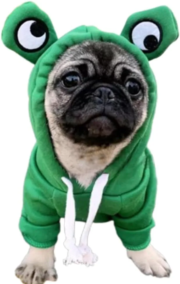 ANIAC Pet Hoodie Cat Rabbit Outfit with Bunny Ears Cute Sweatshirt Spring and Autumn Puppy Knitted Sweater Kitty Soft Knitwear (Green, Large)