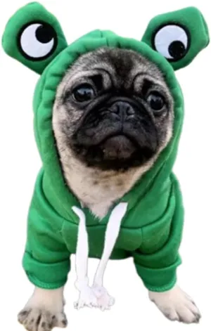 ANIAC Pet Hoodie Cat Rabbit Outfit with Bunny Ears Cute Sweatshirt Spring and Autumn Puppy Knitted Sweater Kitty Soft Knitwear (Green, Large)