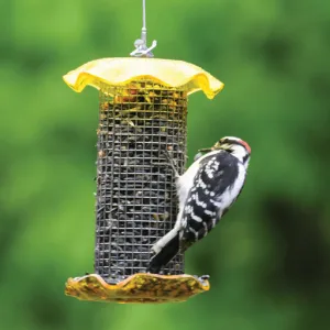 Bird's Choice 1 Quart Yellow-Forever Feeder (Sunflower)
