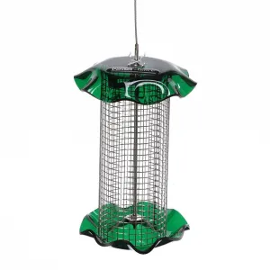 Birds Choice  Small Sunflower Seed Forever Feeder with Stainless Steel Screen in Green