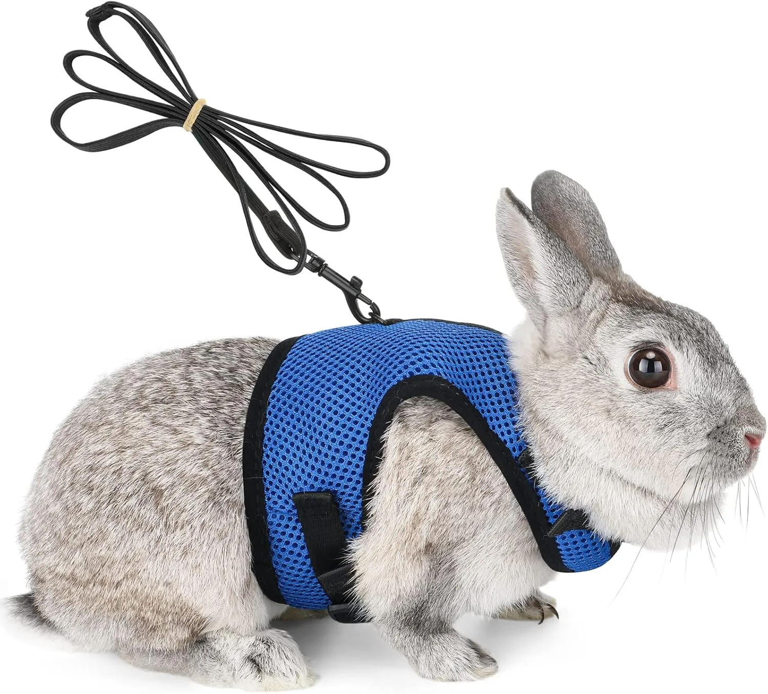 Bunny Rabbit Harness with Stretchy Leash Cute Adjustable Buckle Breathable Mesh Vest for Kitten Small Pets Walking (XS(Chest:7.87-10.6 in), Blue)