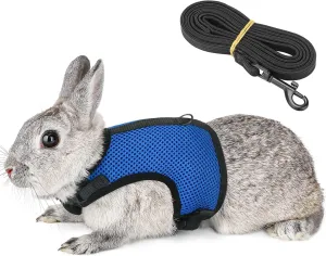 Bunny Rabbit Harness with Stretchy Leash Cute Adjustable Buckle Breathable Mesh Vest for Kitten Small Pets Walking (XS(Chest:7.87-10.6 in), Blue)