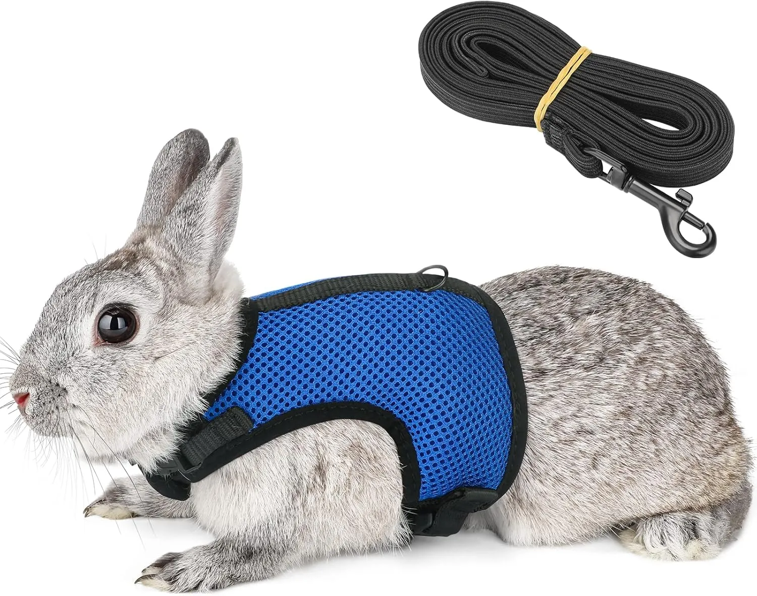Bunny Rabbit Harness with Stretchy Leash Cute Adjustable Buckle Breathable Mesh Vest for Kitten Small Pets Walking (XS(Chest:7.87-10.6 in), Blue)