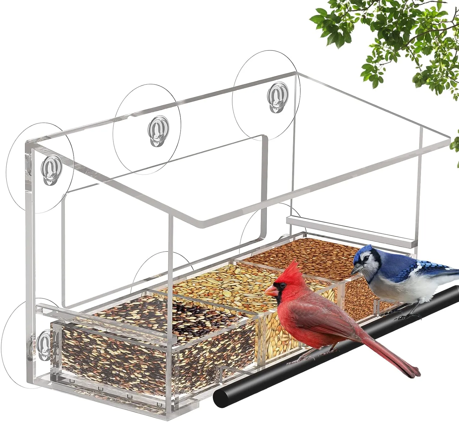 Clear Window Bird Feeder with 6 Strong Suction Cups and Detachable Seed Tray for Outside, Large Transparent Acrylic Wild Birds House Cat Kids and Elderly Viewing Bird Feeder for Window Perch
