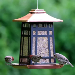 Copper Arches Metal Gazebo Feeder
