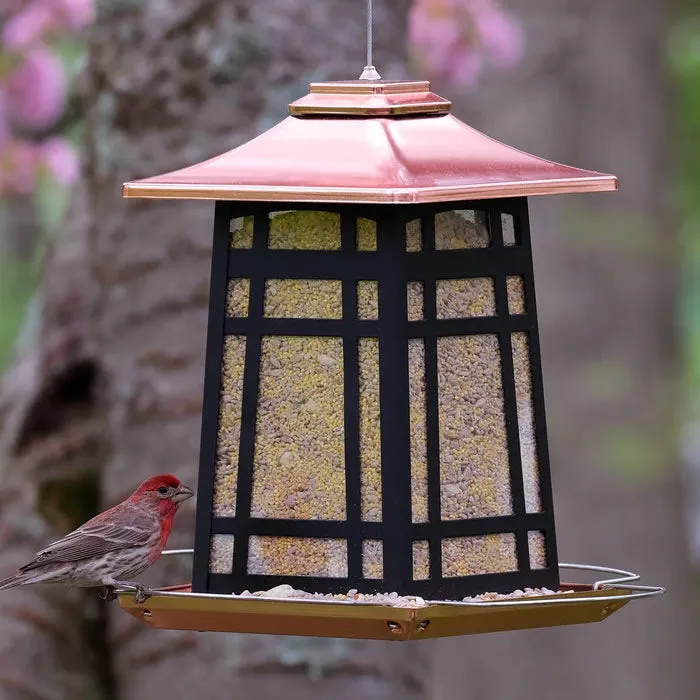 Copper Arches Metal Gazebo Feeder
