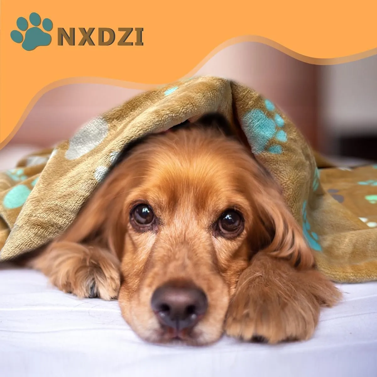 Dog Blankets for Medium Large Dogs Washable, 3 Pack Pet Blanket Washable 41" x 31", Fuzzy Soft Puppy Throw Cover for Kennel Crate Bed