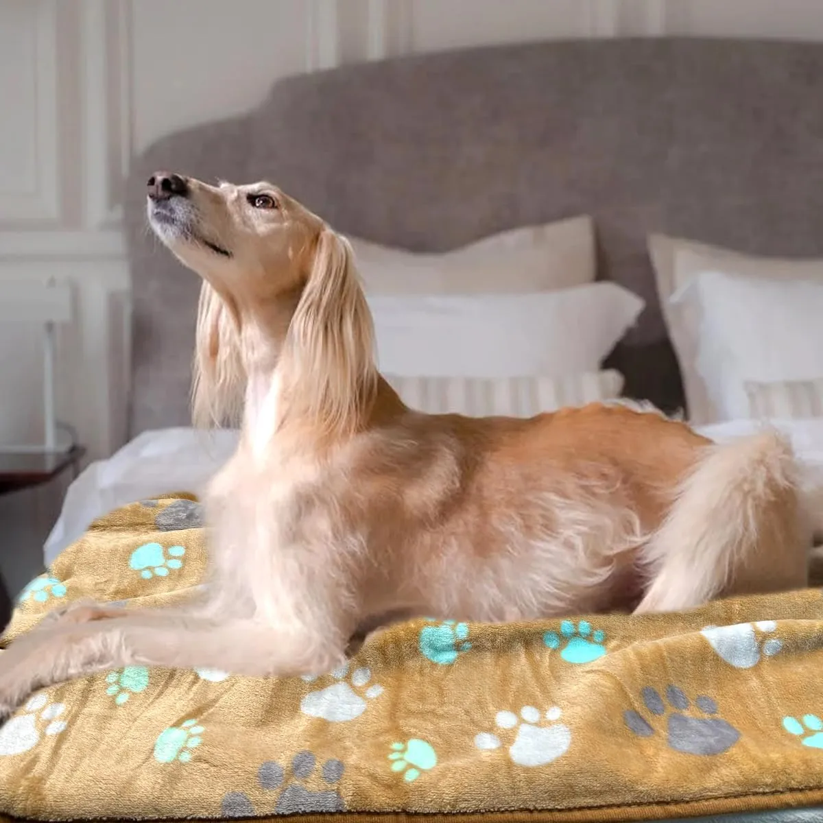Dog Blankets for Medium Large Dogs Washable, 3 Pack Pet Blanket Washable 41" x 31", Fuzzy Soft Puppy Throw Cover for Kennel Crate Bed