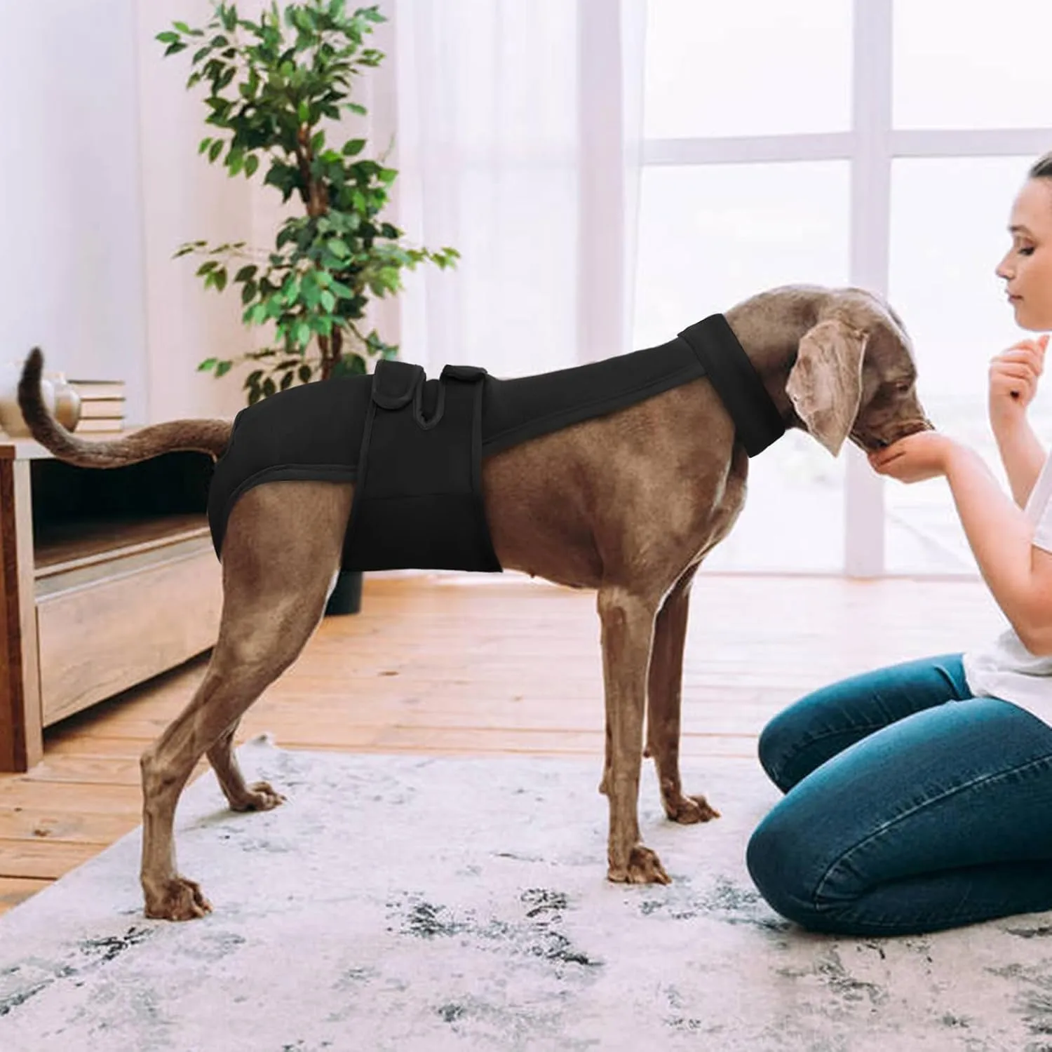 Dog Diapers Female Reusable Washable Period Diaper with Suspender,Adjustable Dog Panties Anti-Harassment, Doggie Diapers for Incontinence, Heat Cycles, or Senior DogsXS-XL