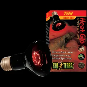 Exo Terra HeatGlo Infrared Spot Lamp R20 75W