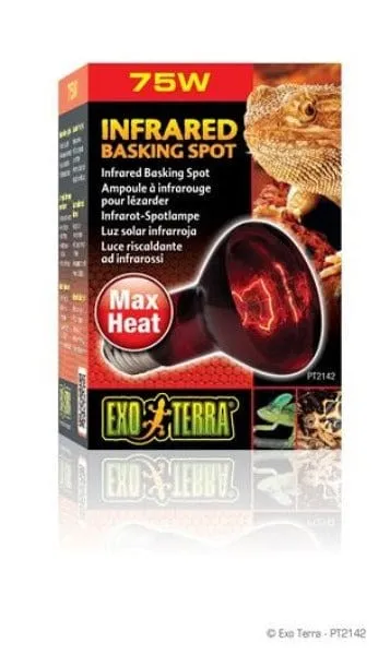 Exo Terra Infrared Basking Spot