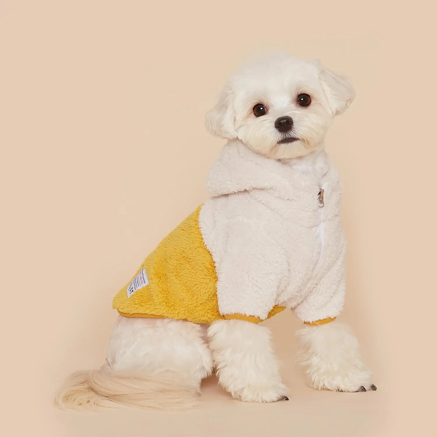 FLOT Designer Dog Fluffy Fleece Anorak Hoodie Zipper Sweater Jacket Coat Premium Materials Tailored Fit Designed and Made in Korea (Yellow) Large