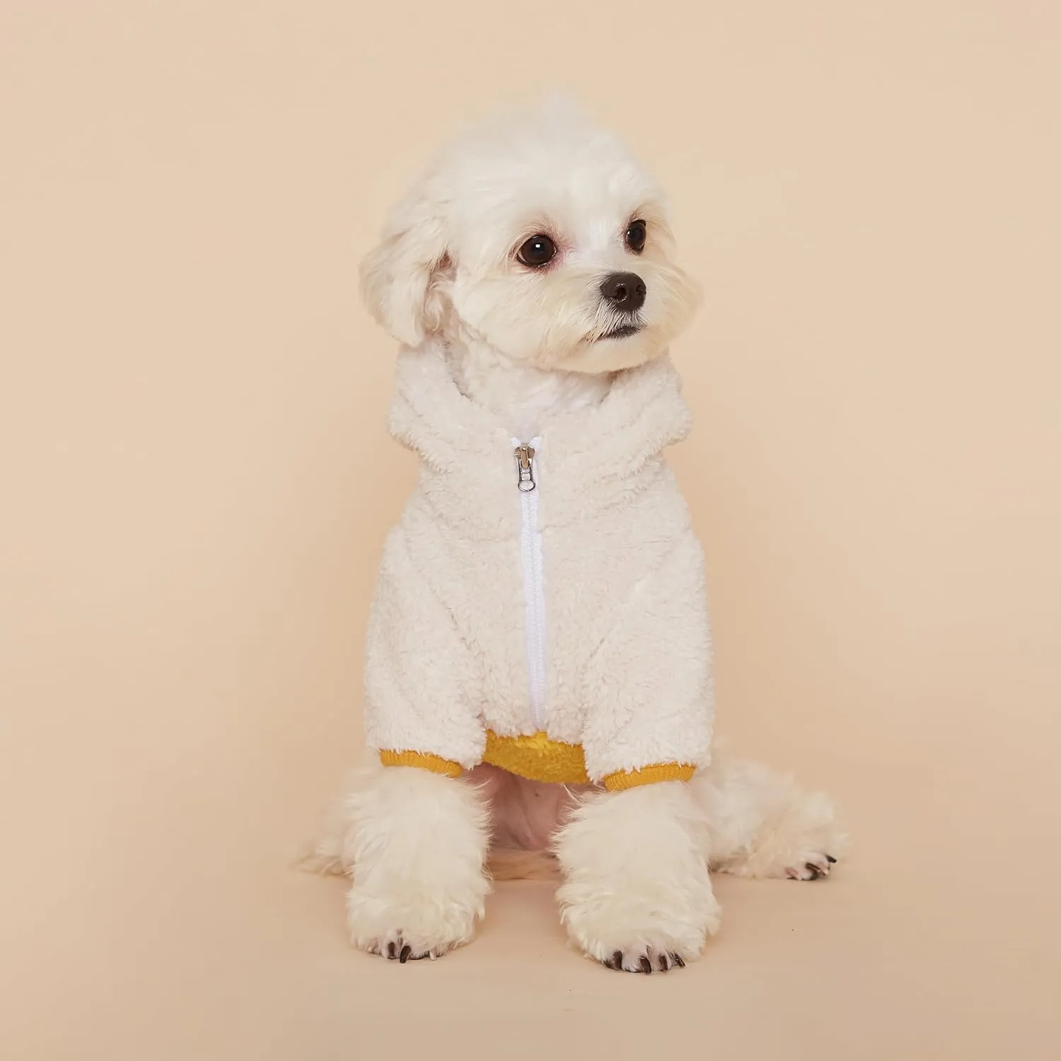 FLOT Designer Dog Fluffy Fleece Anorak Hoodie Zipper Sweater Jacket Coat Premium Materials Tailored Fit Designed and Made in Korea (Yellow) Large
