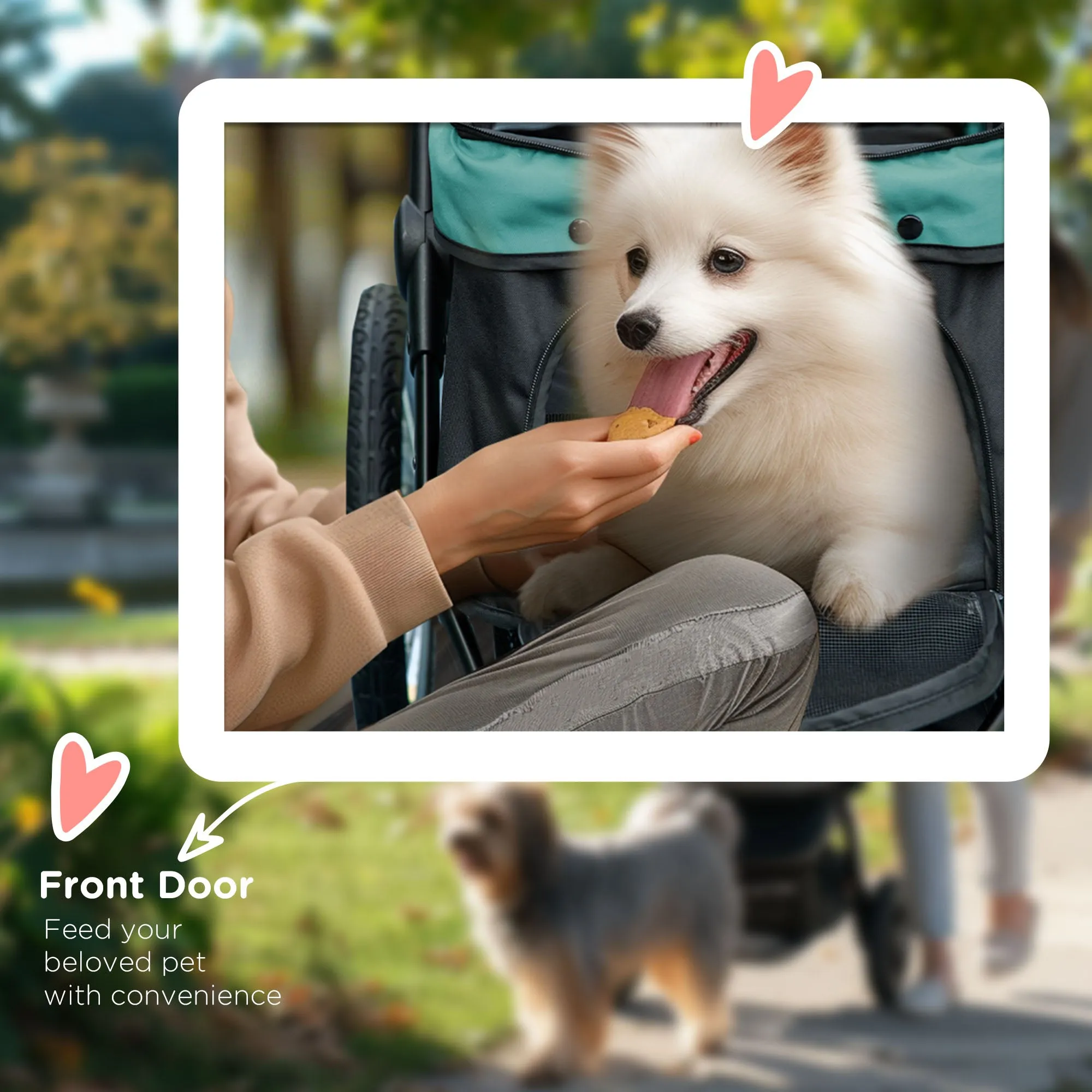 Foldable Pet Stroller Jogger, with Three Wheels, Canopy, for Medium and Small Dogs, Green