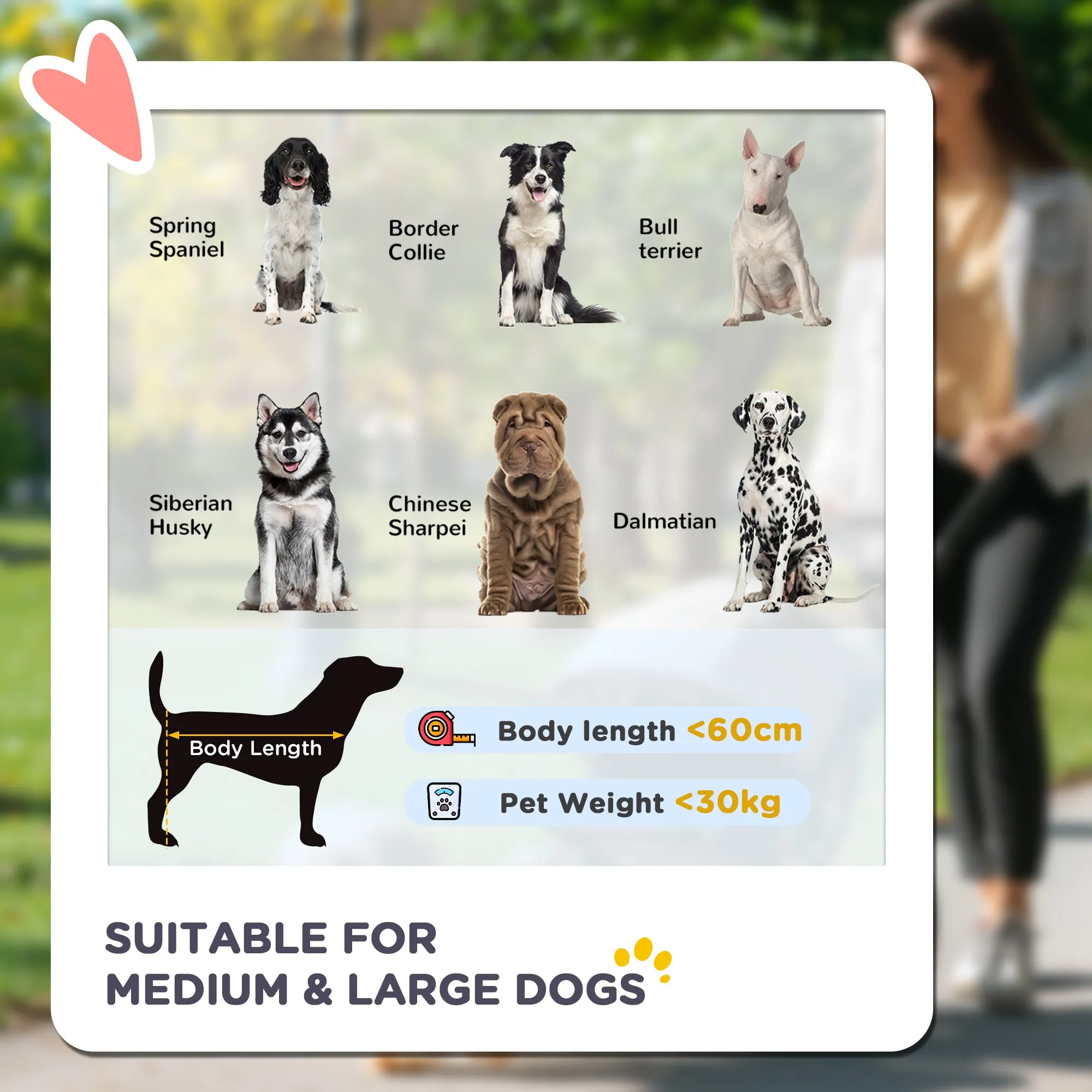 Foldable Pet Stroller, with Universal Wheels, Shock Absorber, for Medium and Large Dogs - Grey