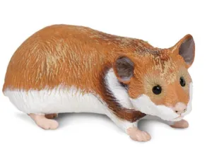 Hamster