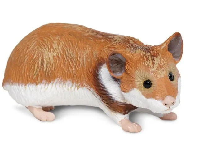 Hamster