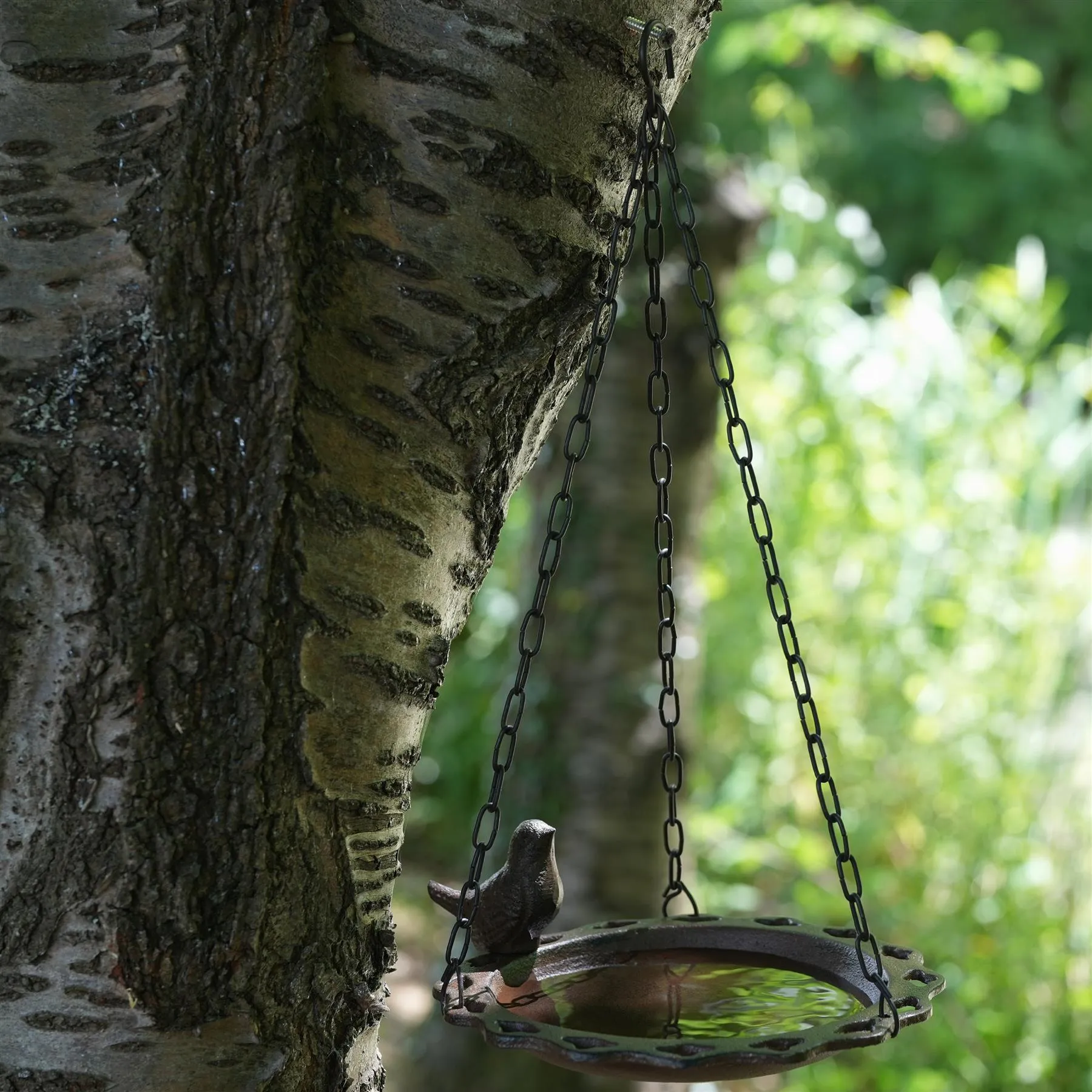 Hanging Bird Bath