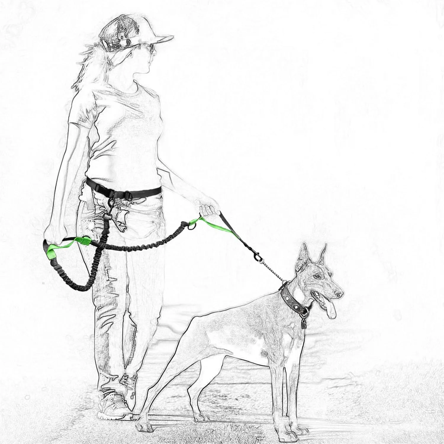 Mile High Life Hands Free Waist Leash for Dog Running Training and Jogging, Adjustable Belt with Double Handle, Reflective Bungee for Medium Large Dogs (Light Purple, 7FT)