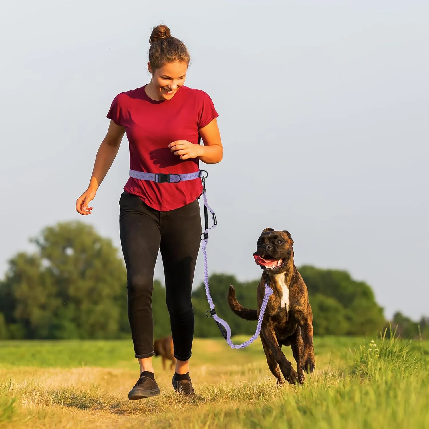 Mile High Life Hands Free Waist Leash for Dog Running Training and Jogging, Adjustable Belt with Double Handle, Reflective Bungee for Medium Large Dogs (Light Purple, 7FT)