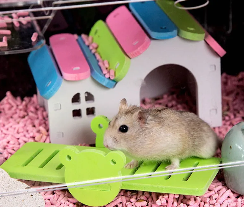 Mouse Cage VIP Series 2 Level DSS1