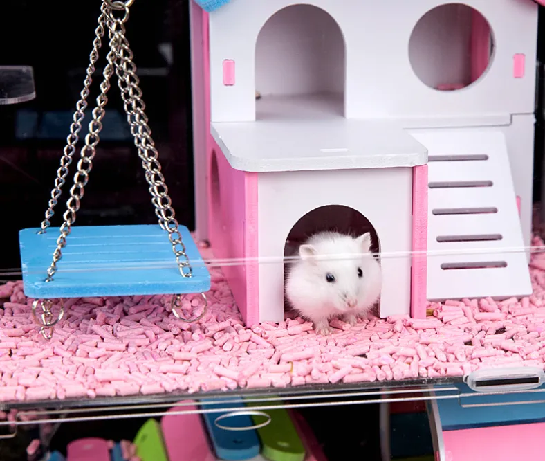 Mouse Cage VIP Series 2 Level DSS1