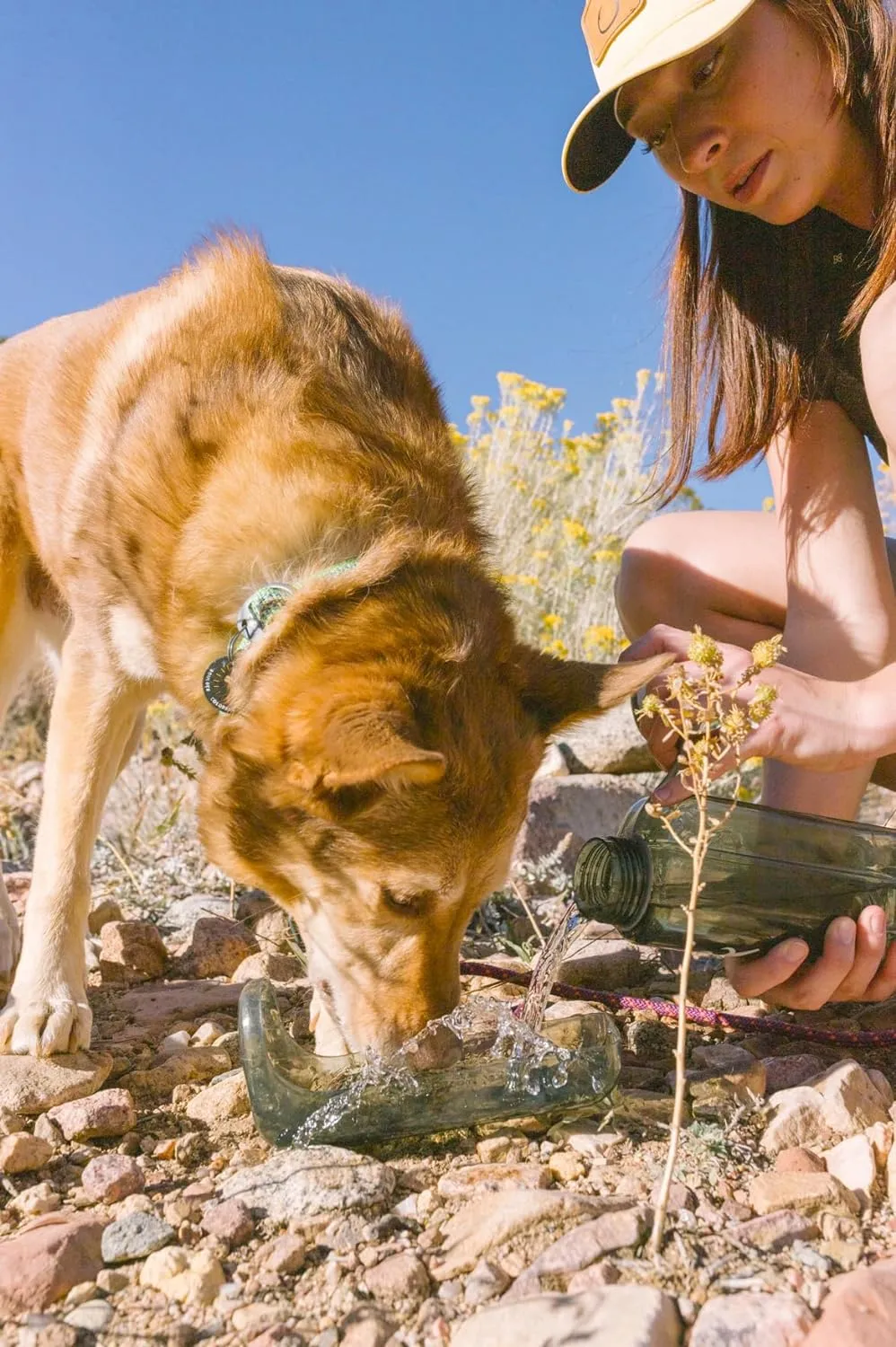 OllyBottle in Grey | Water Sharing System