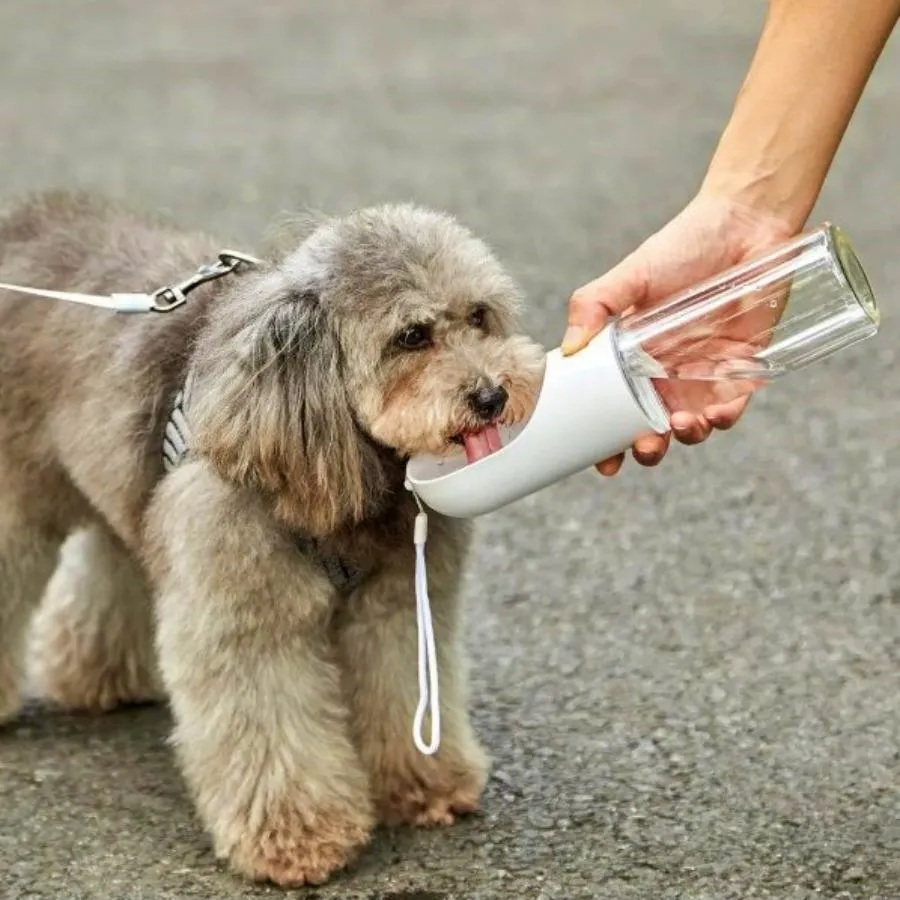 Petkit Eversweet Travel Water Bottle 300ml