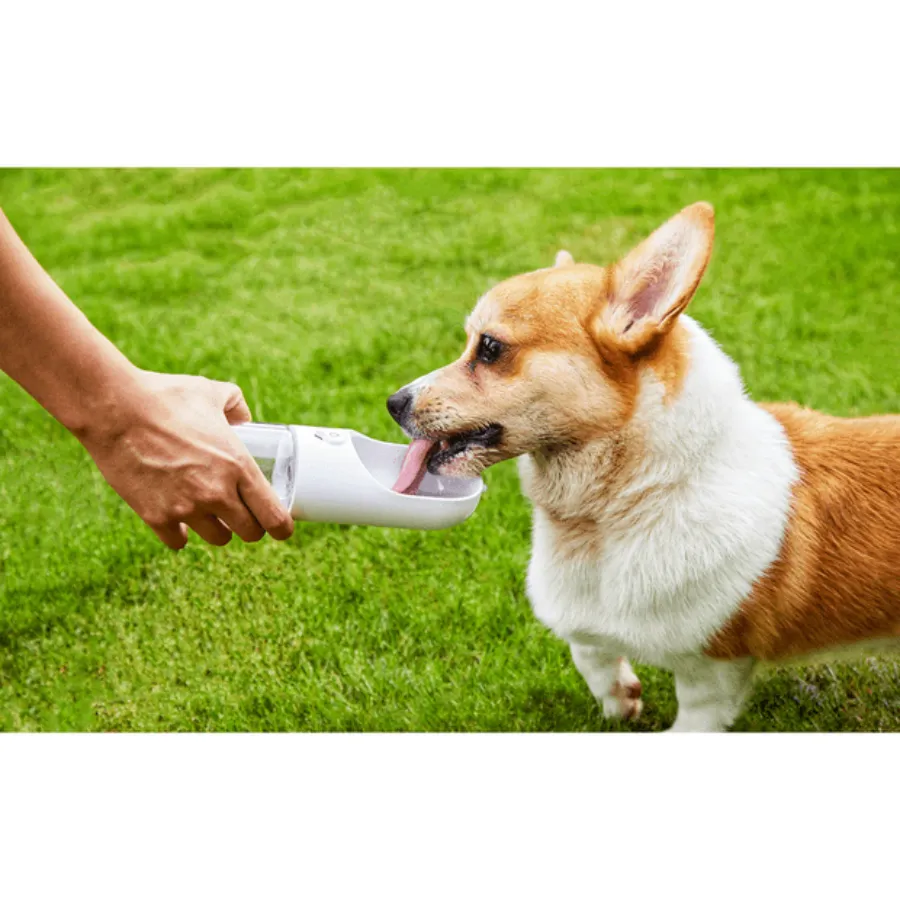 Petkit Eversweet Travel Water Bottle 300ml