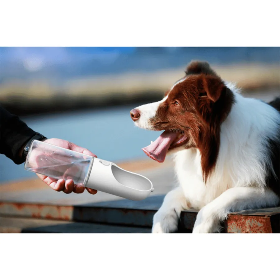 Petkit Eversweet Travel Water Bottle 300ml