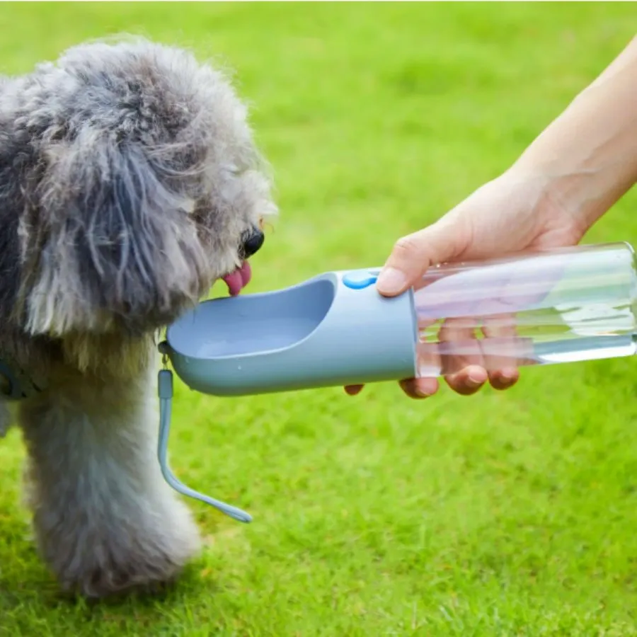Petkit Eversweet Travel Water Bottle 300ml