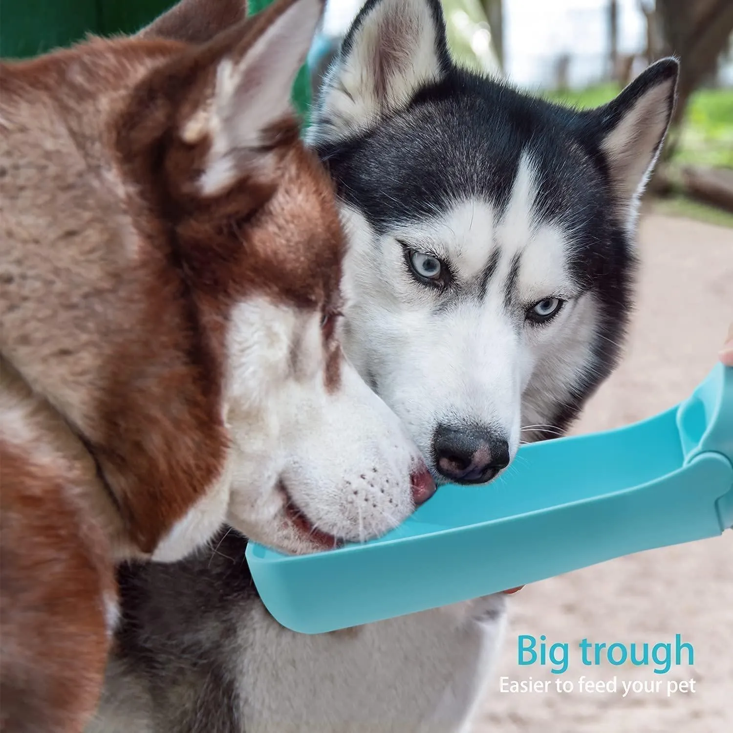 Portable Dog Water Bottle for Walking