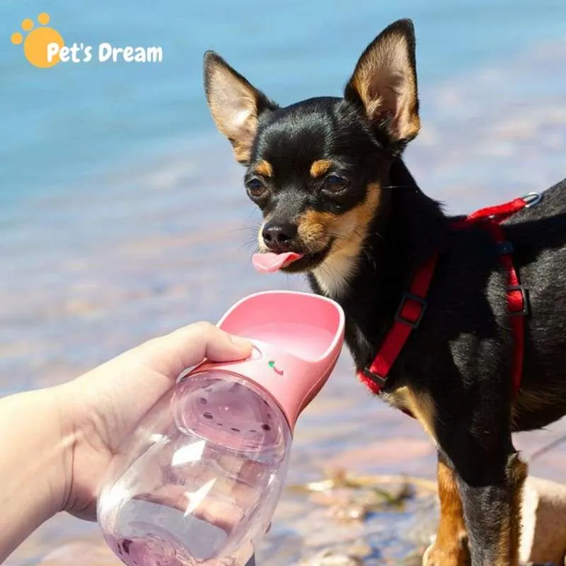 Portable Pet's Water Bottle for Outdoor Traveling
