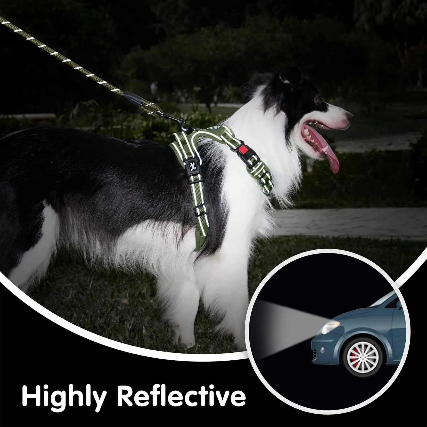 PoyPet No Pull Dog Harness and 5 Feet Leash Set, Release on Neck Reflective Adjustable Pet Vest, Front & Back 2 D-Ring and Soft Padded Pet Harness with Handle for Small to Large Dogs(Military Green,M)