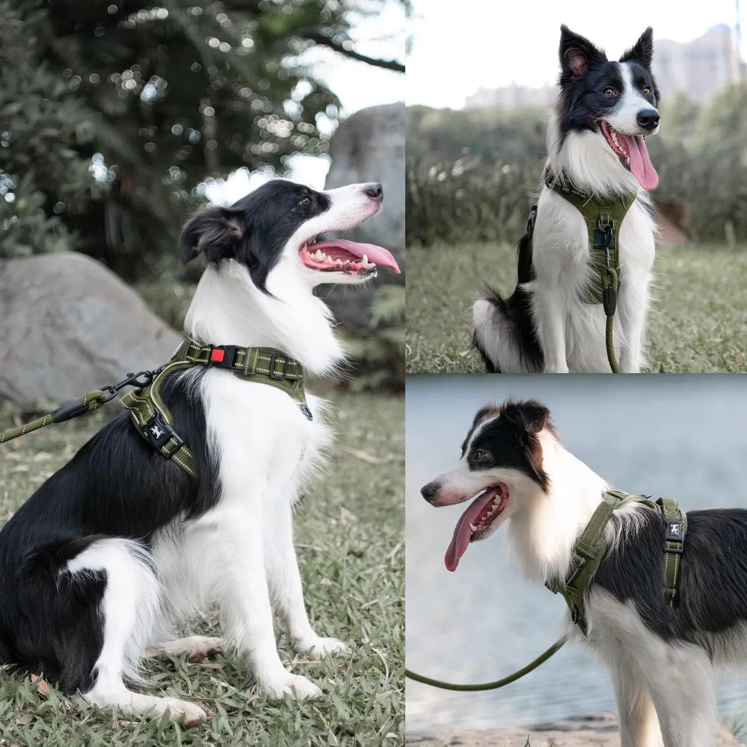 PoyPet No Pull Dog Harness and 5 Feet Leash Set, Release on Neck Reflective Adjustable Pet Vest, Front & Back 2 D-Ring and Soft Padded Pet Harness with Handle for Small to Large Dogs(Military Green,M)
