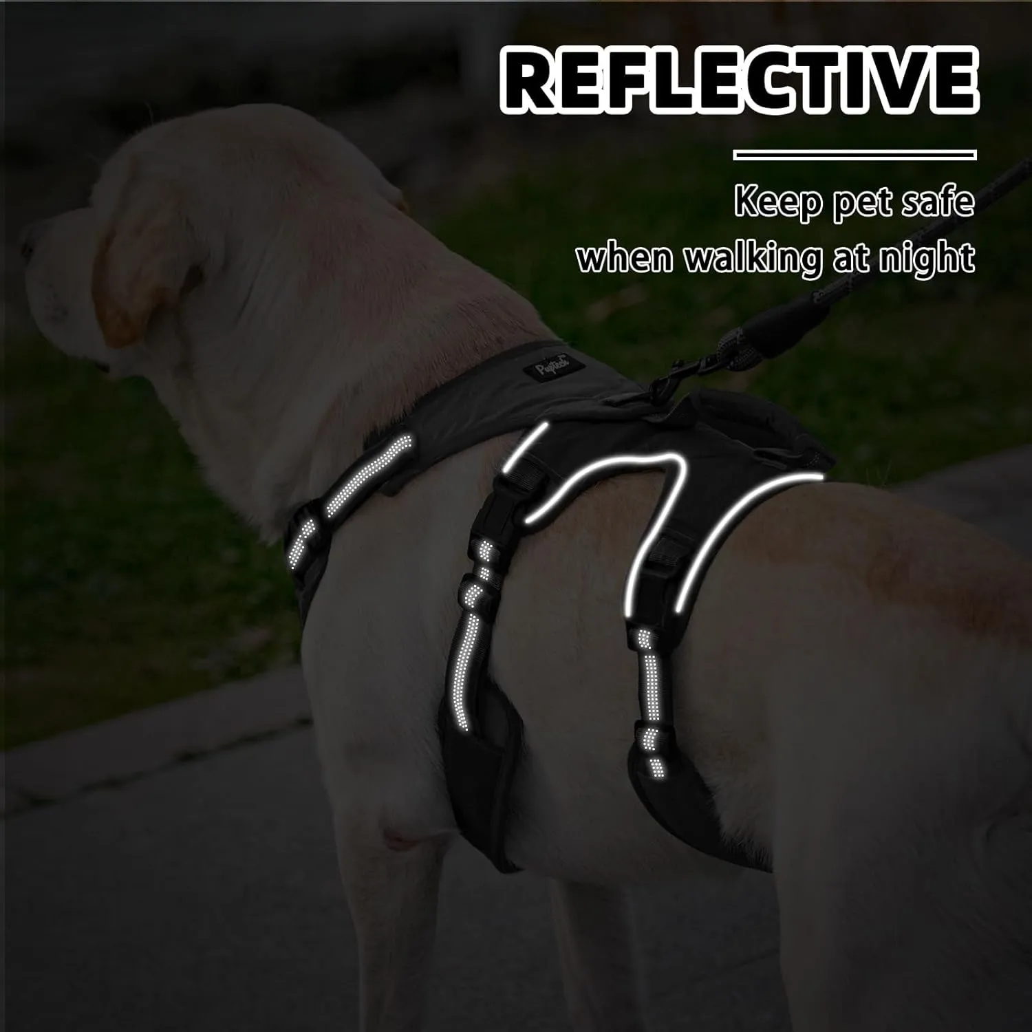 PUPTECK Escape Proof Dog Harness and Leash Set Upgraded No Pull Reflective Dog Vest with Lift Handle, Easy Control Pet Harness for Medium Large Dogs Training Walking Running