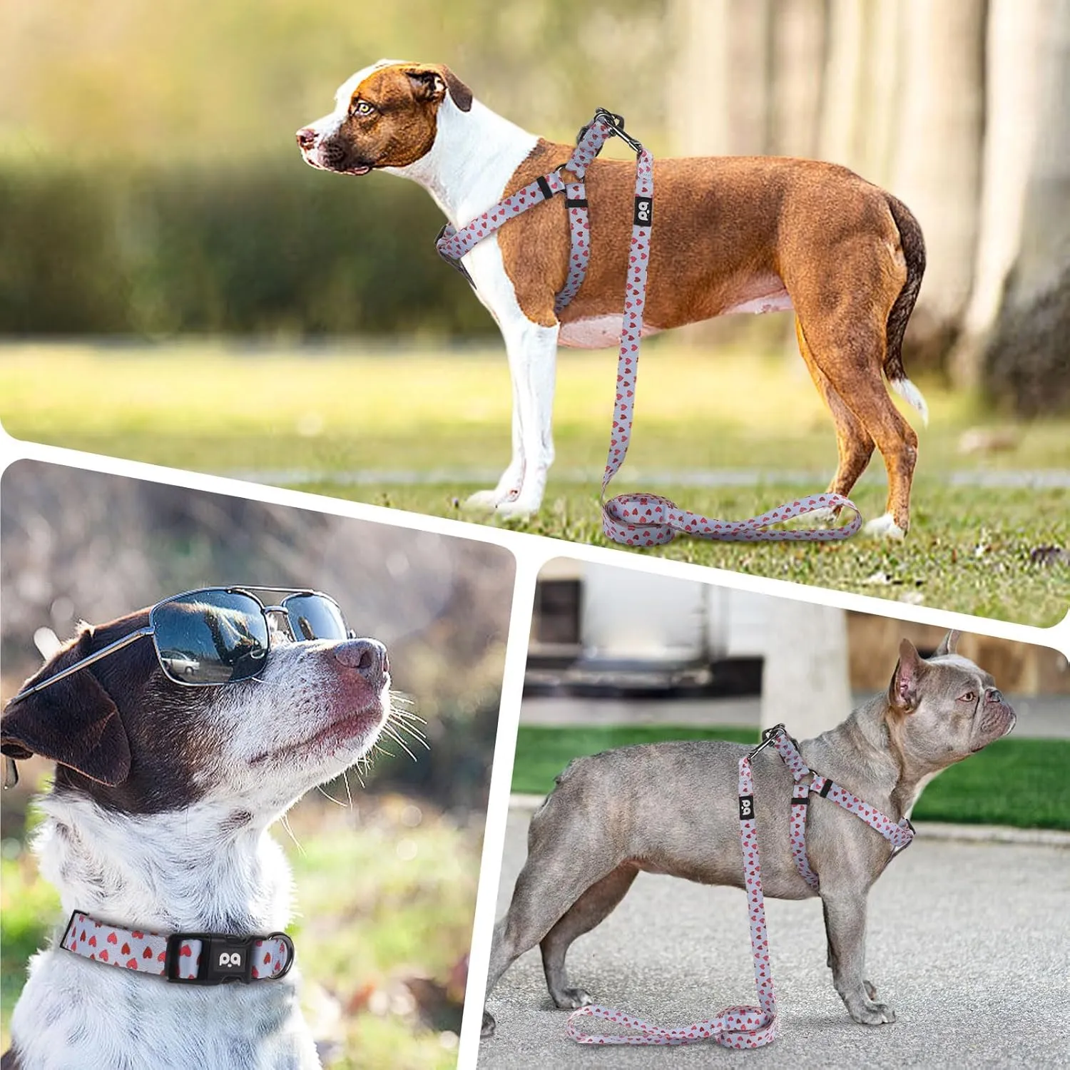 QQPETS Dog Harness Collar Leash - No Pull Pet Adjustable Back Clip Halter Basic Collar Heavy Duty 5FT Anti-Twist Leash for Extra Small Puppy Medium Large Breed Training Easy Walk(S,Blue Love)