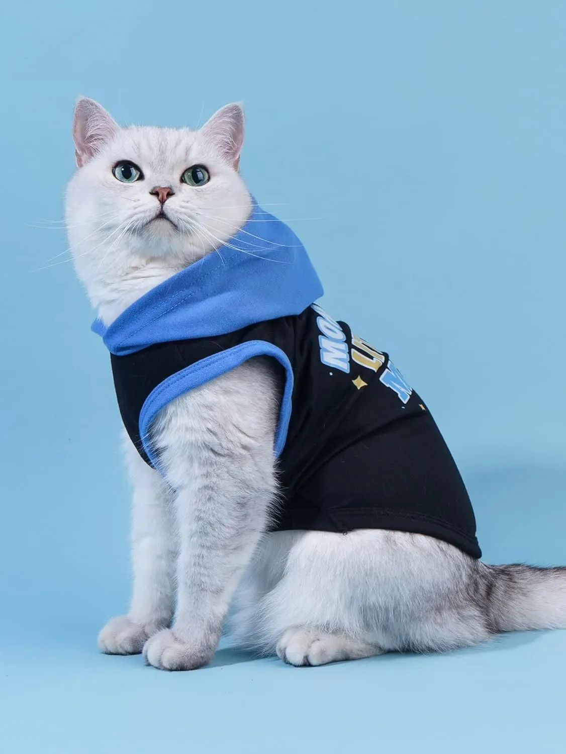 QWINEE Mom Boy Dog Hooded Tank Tops Letter Print Cat Puppy Hoodie Vest Sleeveless Pullover Dog Shirt Stretchy Pet Clothes for Small Medium Large Cats Dogs Kitten Blue L
