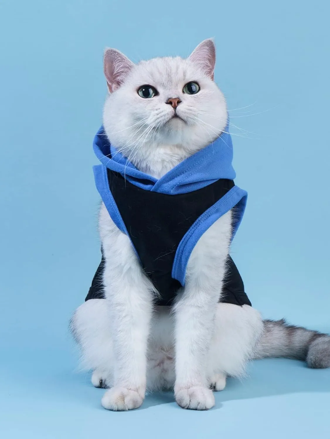 QWINEE Mom Boy Dog Hooded Tank Tops Letter Print Cat Puppy Hoodie Vest Sleeveless Pullover Dog Shirt Stretchy Pet Clothes for Small Medium Large Cats Dogs Kitten Blue L