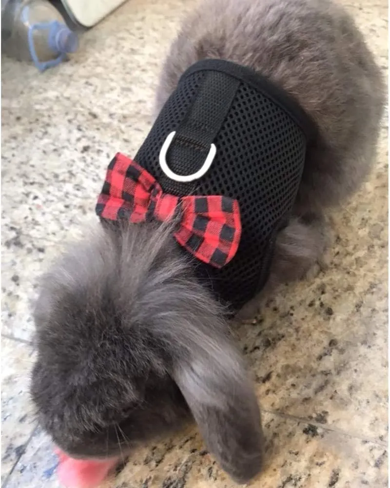 Rabbit Harness with Leash Adjustable Soft Mesh Vest Harness for Bunny Kitten Guinea Pig Rat (M, Black)
