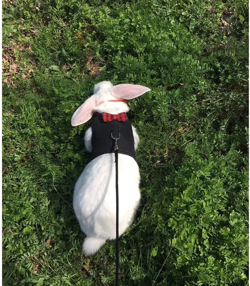 Rabbit Harness with Leash Adjustable Soft Mesh Vest Harness for Bunny Kitten Guinea Pig Rat (M, Black)