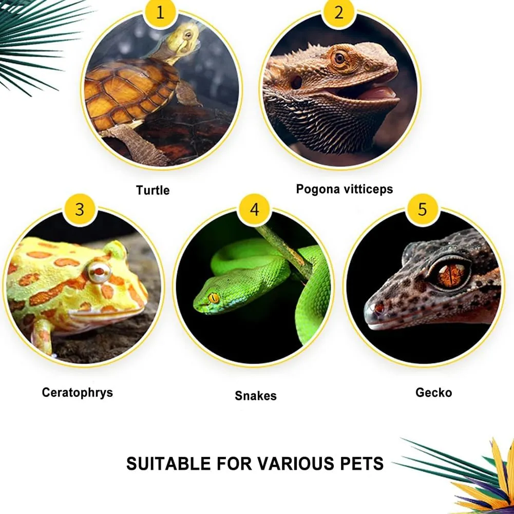Reptile Float Glass Growth Tank, Transparent Reptile Terrarium with Wiring Hole, Eco Rainforest Feeding Box, Reptile Breeding Box Suitable for Stacking, Top Screen Ventilation Escape Proof Lid,