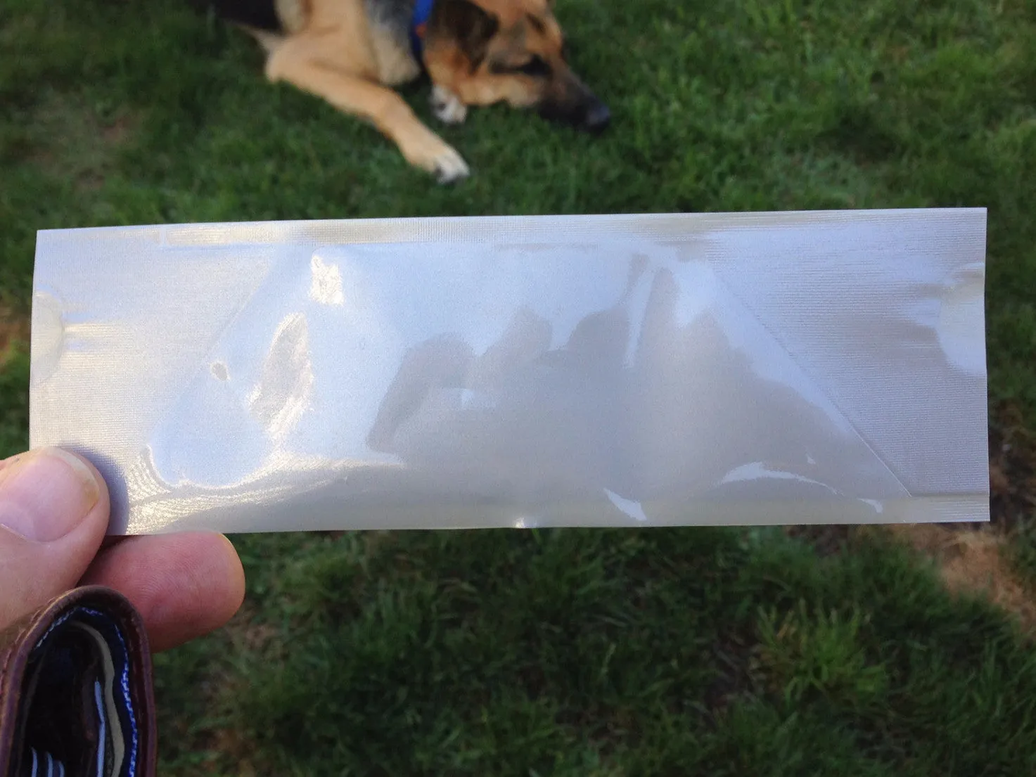 The Drinklet - The World's First Totally Flat Dog Bowl