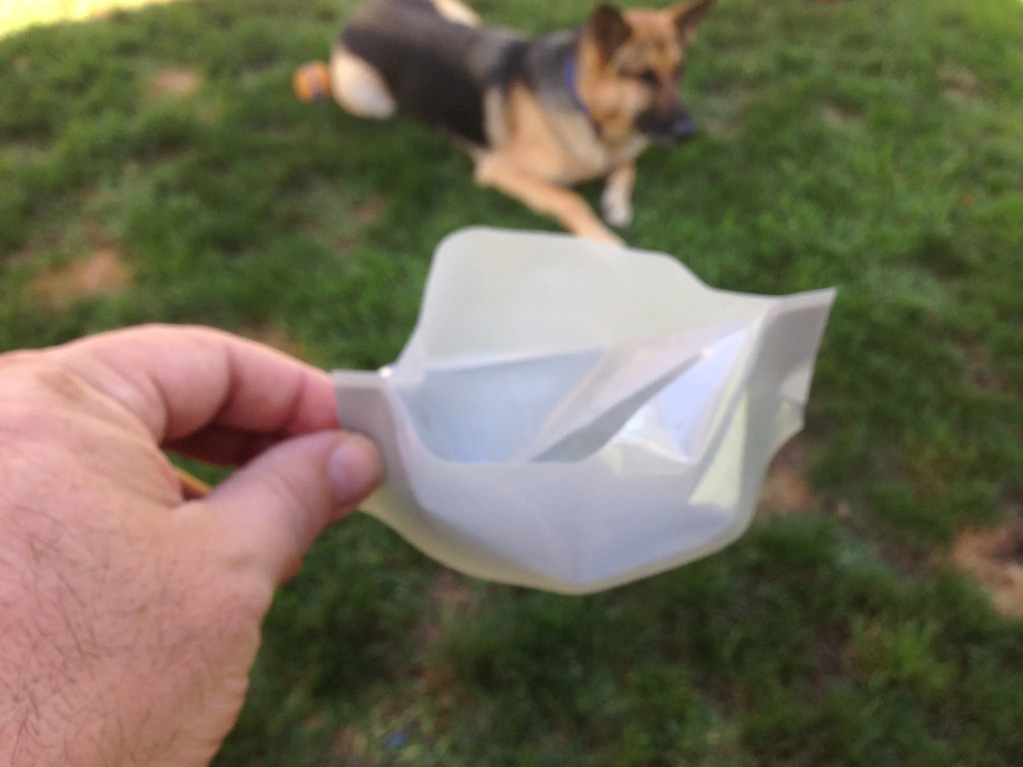 The Drinklet - The World's First Totally Flat Dog Bowl