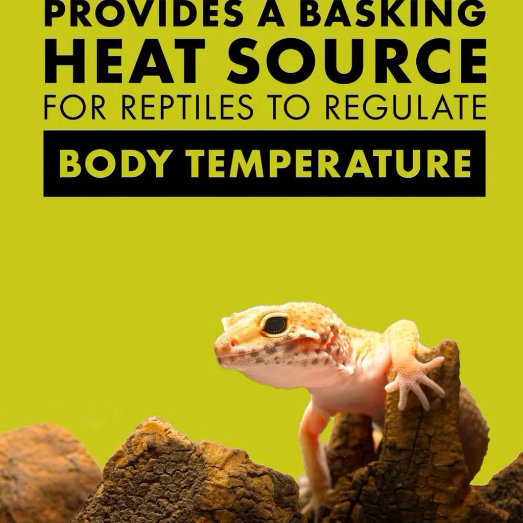 Zilla Day White Incandescent Spot Bulb for Reptiles