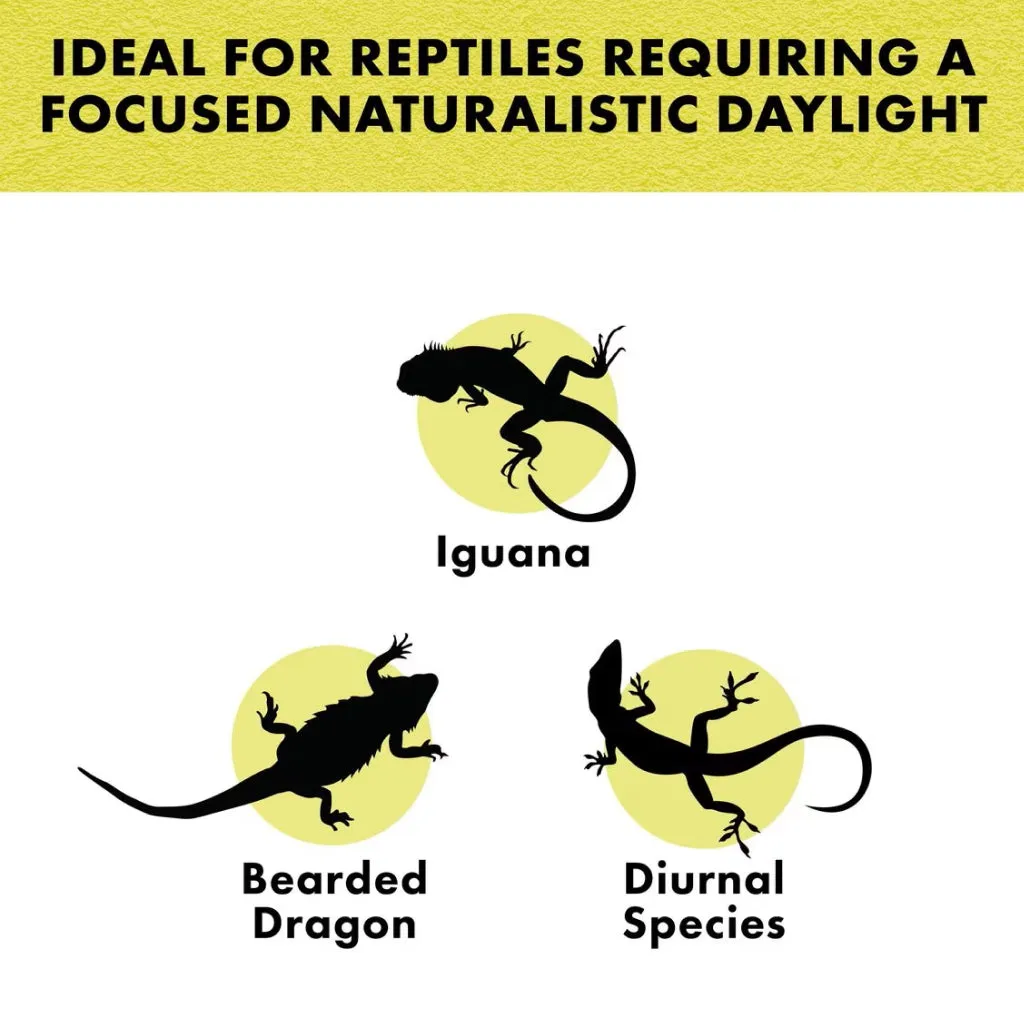 Zilla Day White Incandescent Spot Bulb for Reptiles